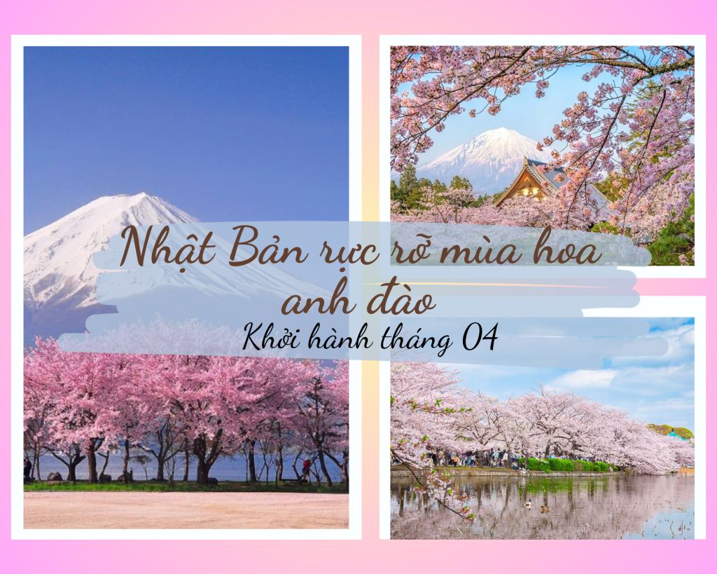 NHẬT BẢN – RỰC RỠ MÙA HOA ANH ĐÀO (VJ) - 2025